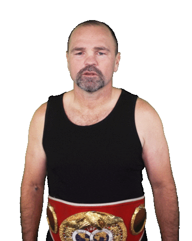 Sven Swipe Up Sticker by RTLde