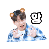 Idol Ateez Sticker