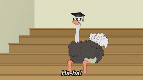 GIF by Giphy QA