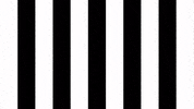 Happy Football GIF by SK Sturm Graz