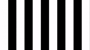 Nelson Sksturm GIF by SK Sturm Graz