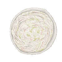 Meat Vegetable Sticker