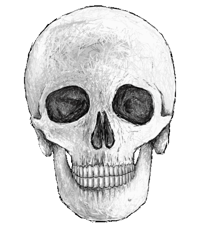 halloween skull Sticker