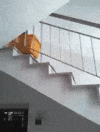 success GIF