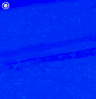 depressedcitizens text nft urban concept GIF