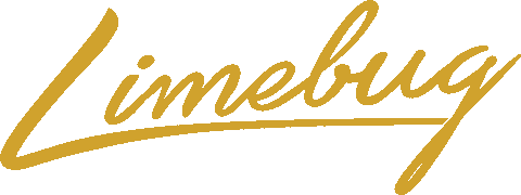 Air Ride Bug Sticker by Limebug VW