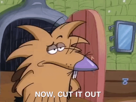 angry beavers nicksplat GIF