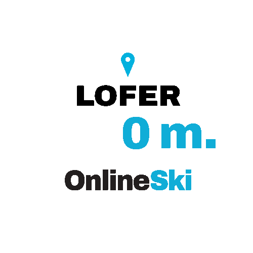 OnlineSki giphyupload Sticker