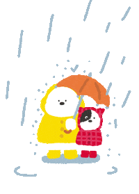 Drawingday rainyday bichon rian 드로잉데이 Sticker