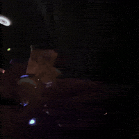 Electronic Music GIF by Welofi