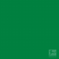 borussia monchengladbach dancing GIF by Bundesliga