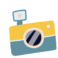 flash camera Sticker by Flower Chimp