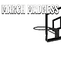 College Basketball Sticker by Pudgy Penguins