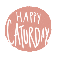 Cat Weekend Sticker