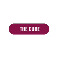 The Cube Home Sticker by Homes For Students