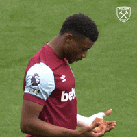 Premier League Football GIF by West Ham United