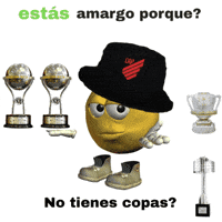 Copa Do Brasil Baixada GIF