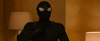 Far From Home GIF by Spider-Man