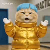 Cats Feels GIF by Darwin