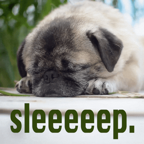 Tired Good Morning GIF by Sealed With A GIF