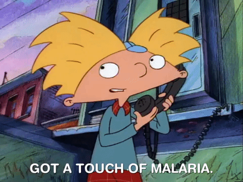 hey arnold nick splat GIF