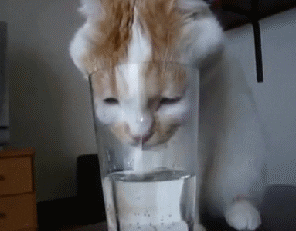 water time GIF