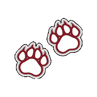 Graduation Sticker by St. Charles Community College