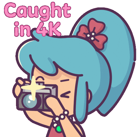 Photo Camera Sticker by Castaways