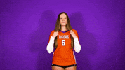Clemsonvb Championshipbehavior GIF by Clemson Tigers