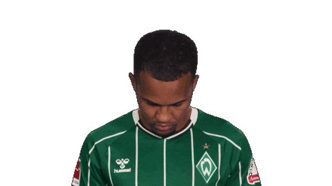 Werder Bremen Sticker by Bundesliga