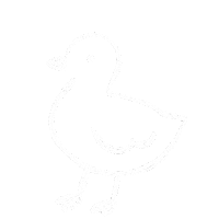 Bird Duck Sticker