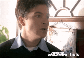 arrested development fox television classics GIF by HULU