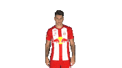 Dominik Szoboszlai Goal Sticker by FC Red Bull Salzburg