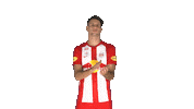 Dominik Szoboszlai Applause Sticker by FC Red Bull Salzburg