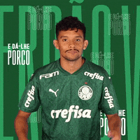 Happy Feliz GIF by SE Palmeiras