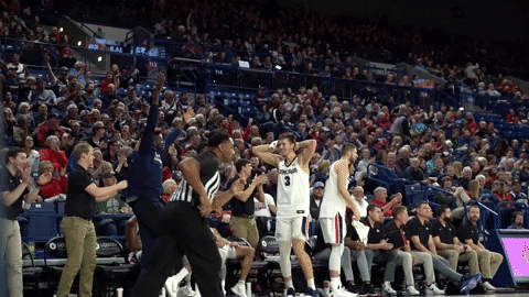 GonzagaBulldogs giphyupload celebration basketball bench GIF
