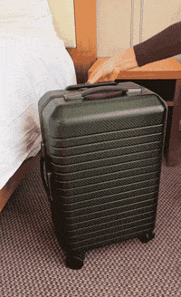 moncarbonecarbonfiber excited travel hotel carbonfiber GIF