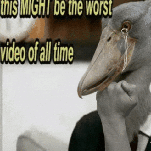 All Time Instagram GIF