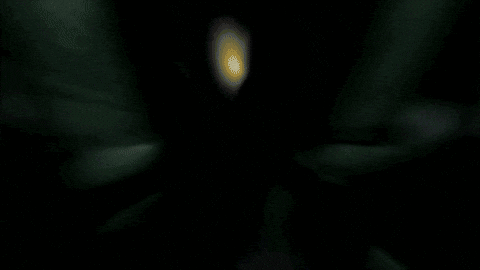 Fall Falling GIF