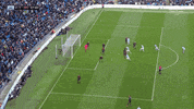 football save GIF by nss sports