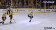 Ice Hockey Sport GIF by NHL