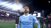 Happy Major League Soccer GIF by NYCFC