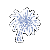 Palm Byronbay Sticker by Double Shot Studio