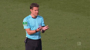 sv werder bremen GIF