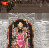 Rahul Gandhi Congress GIF