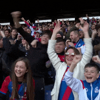 Premier League Yes GIF by Crystal Palace Football Club