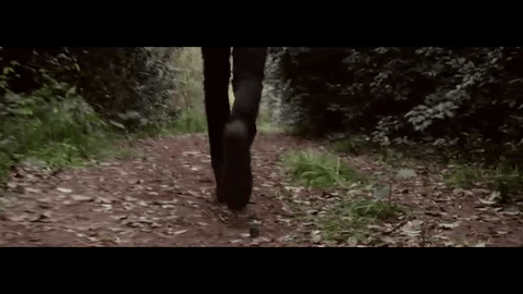 pÃ¡jarocantor GIF by Sony Music Perú