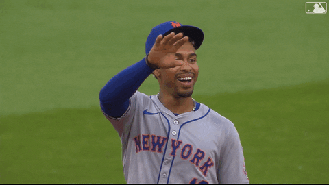 Happy Ny Mets GIF by New York Mets