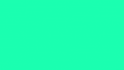 Sim Portuguese GIF by languages