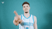 Hive Mentality Lamelo Ball GIF by Charlotte Hornets